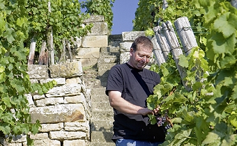 Weinhof Rosenberger